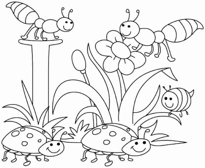 Coloring pages preschool book kindergarten books color printable early kids mini worksheets colors choose board learning printables toddler toddlers prek