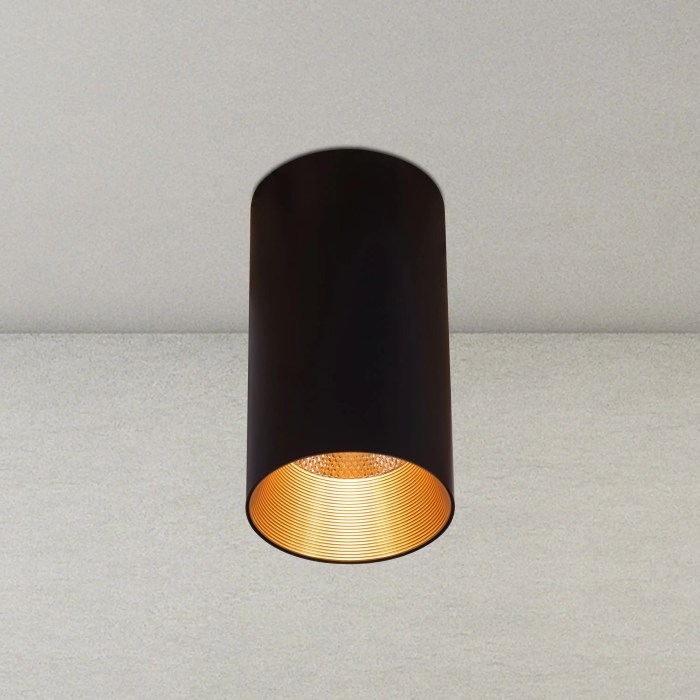 Ceiling modern lights led flush black lamp light 220v mount simple